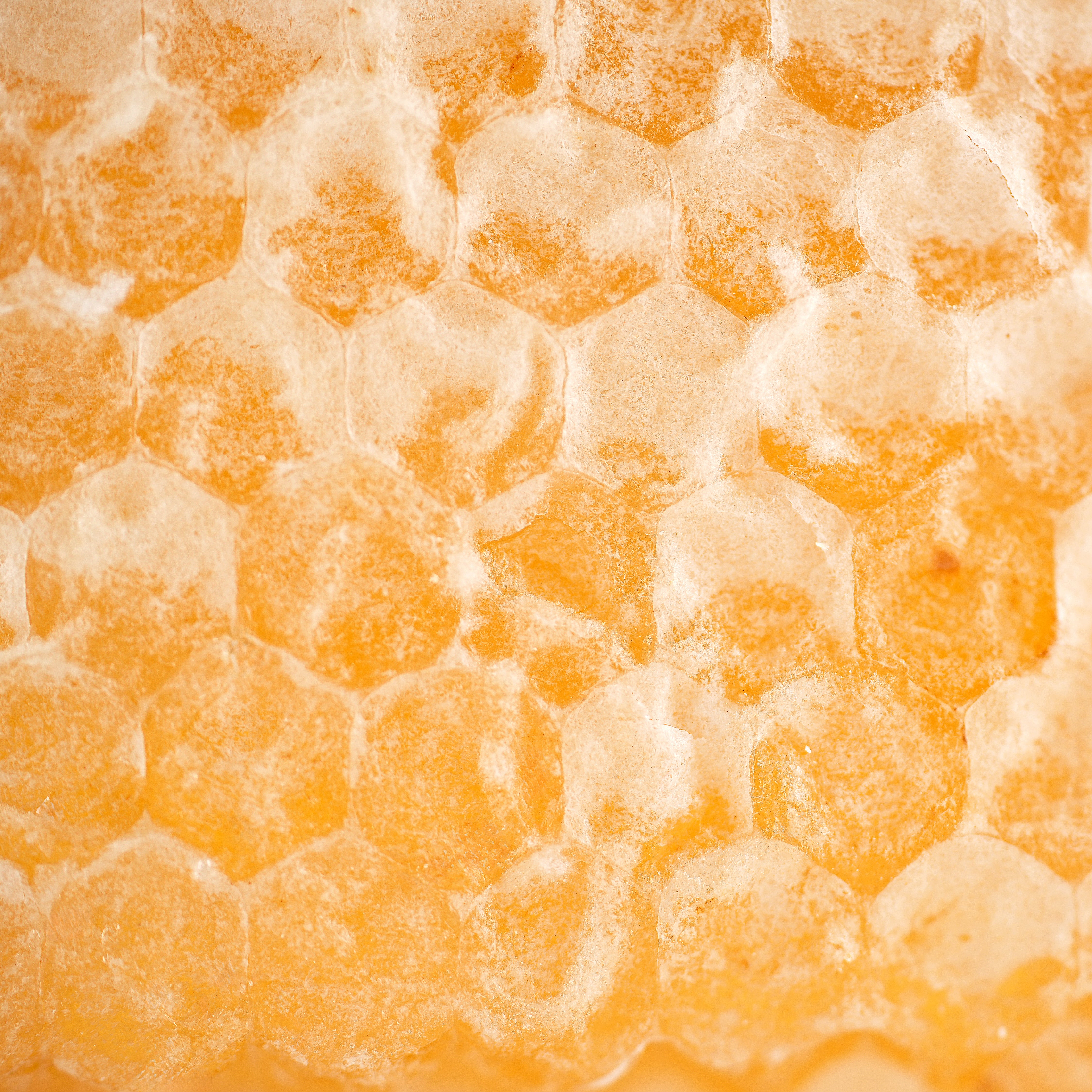 raw unprocess honey comb