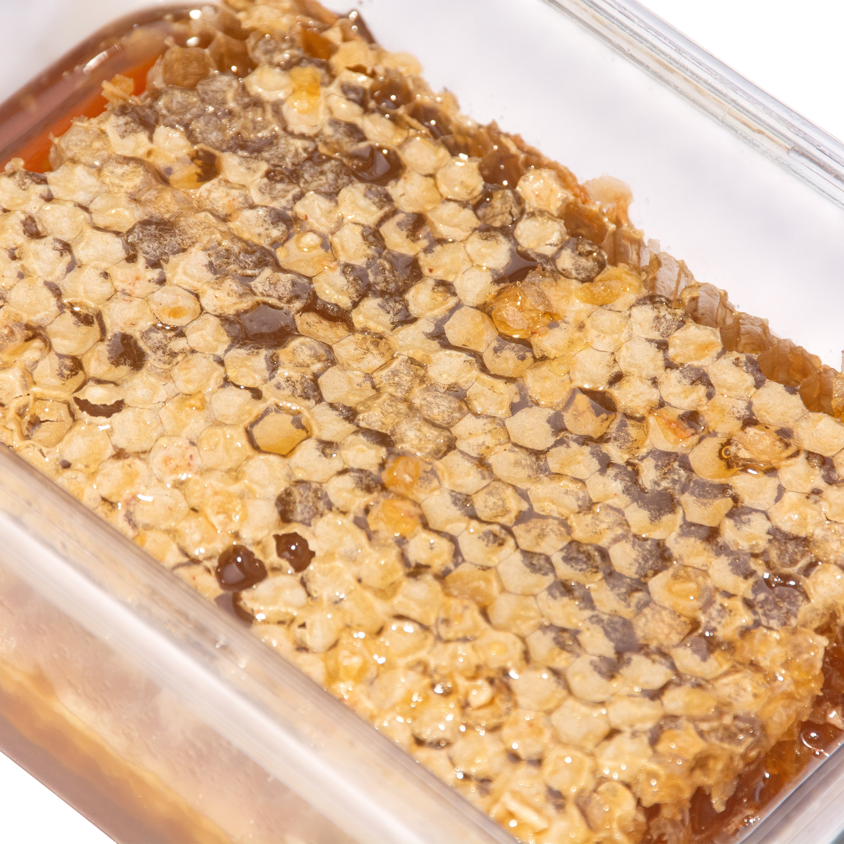 natural raw comb honey 